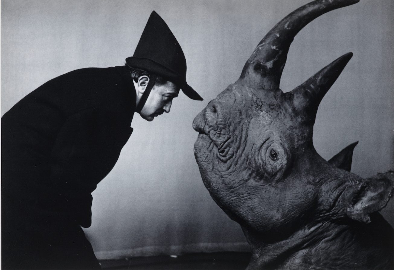Max Ernst Museum Brühl: „Surreale Tierwesen“