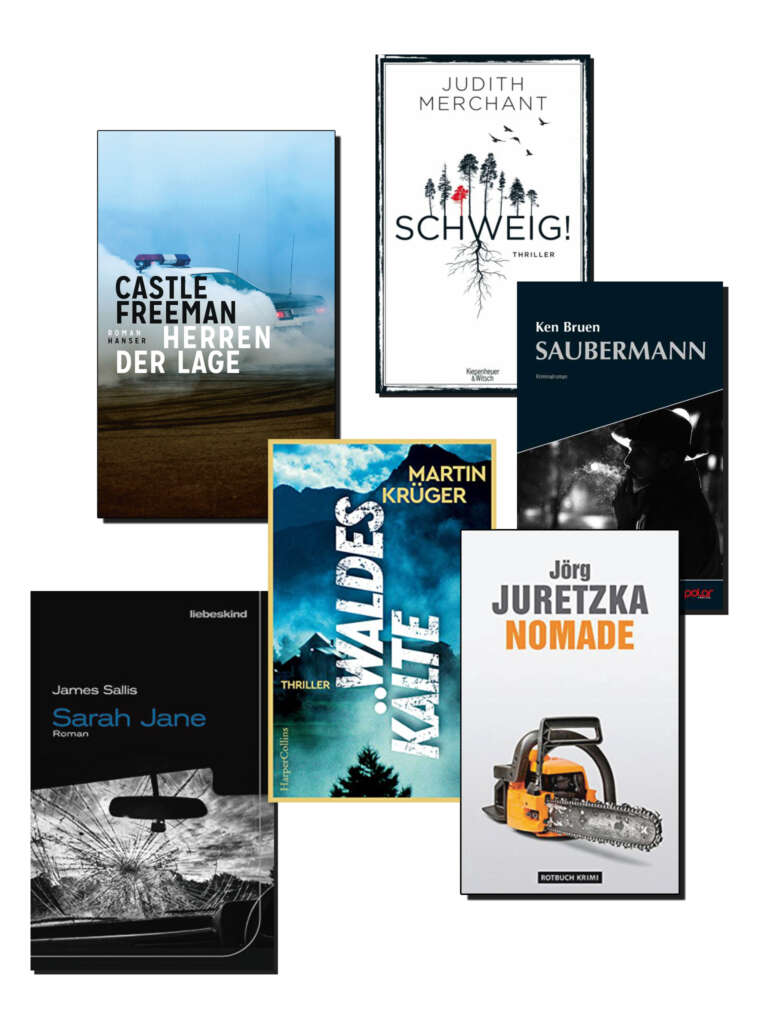 Buchcover Die besten Krimis im September 2021