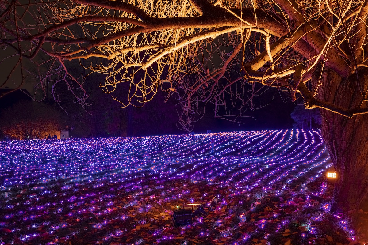 Berlin 2019_Field of Lights©Christmas Garden-Michael Clemen