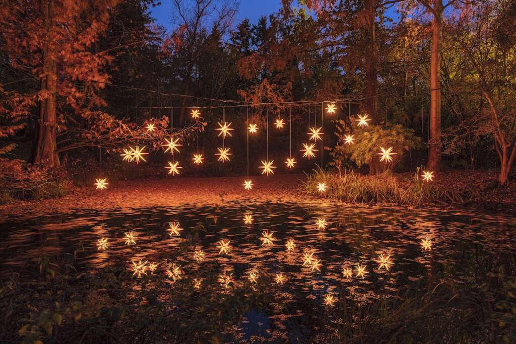 Christmas Garden Berlin 2019_Sternennacht©Christmas Garden-Michael Clemens