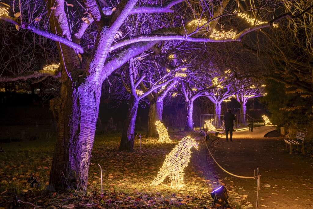 Christmas Garden Berlin 2019 - Vogelparadies
