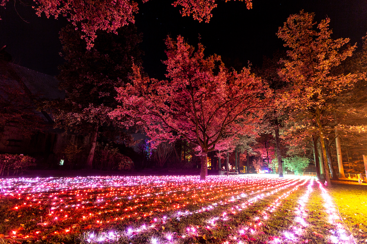 Christmas Garden Münster 2019_Field of Lights ©Christmas Garden-Muenster4life