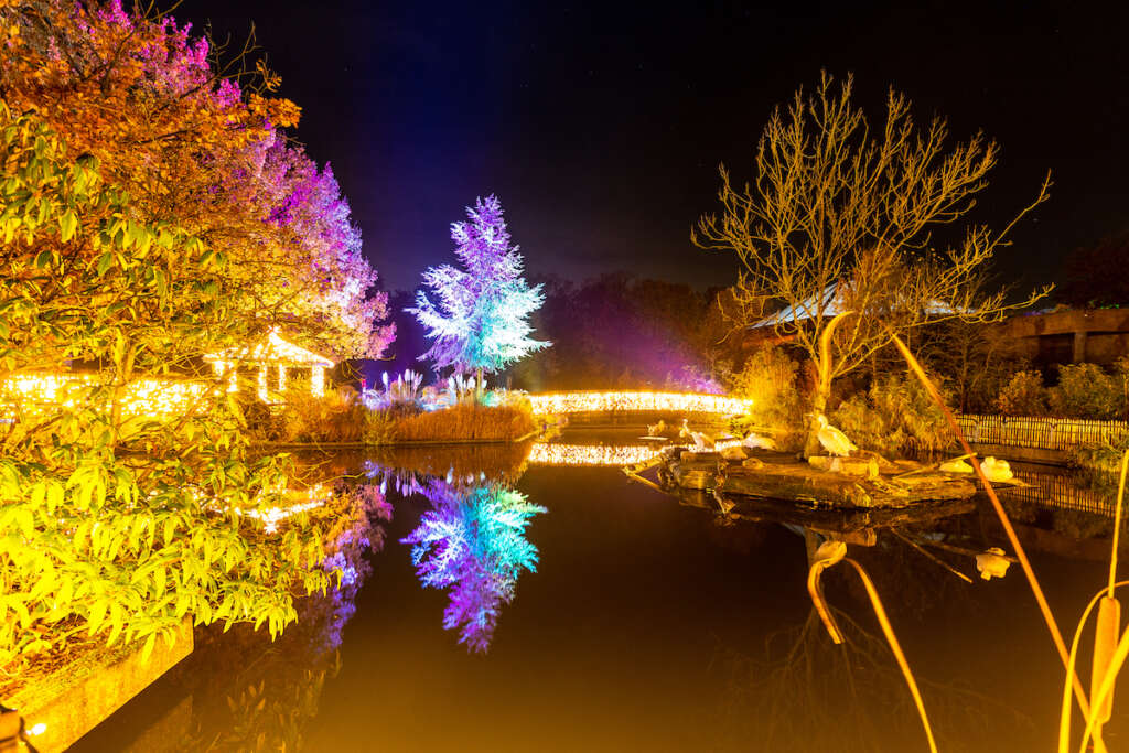 Christmas Garden Münster 2019_Glühwürmchen Brücke ©Christmas Garden-Muenster4life