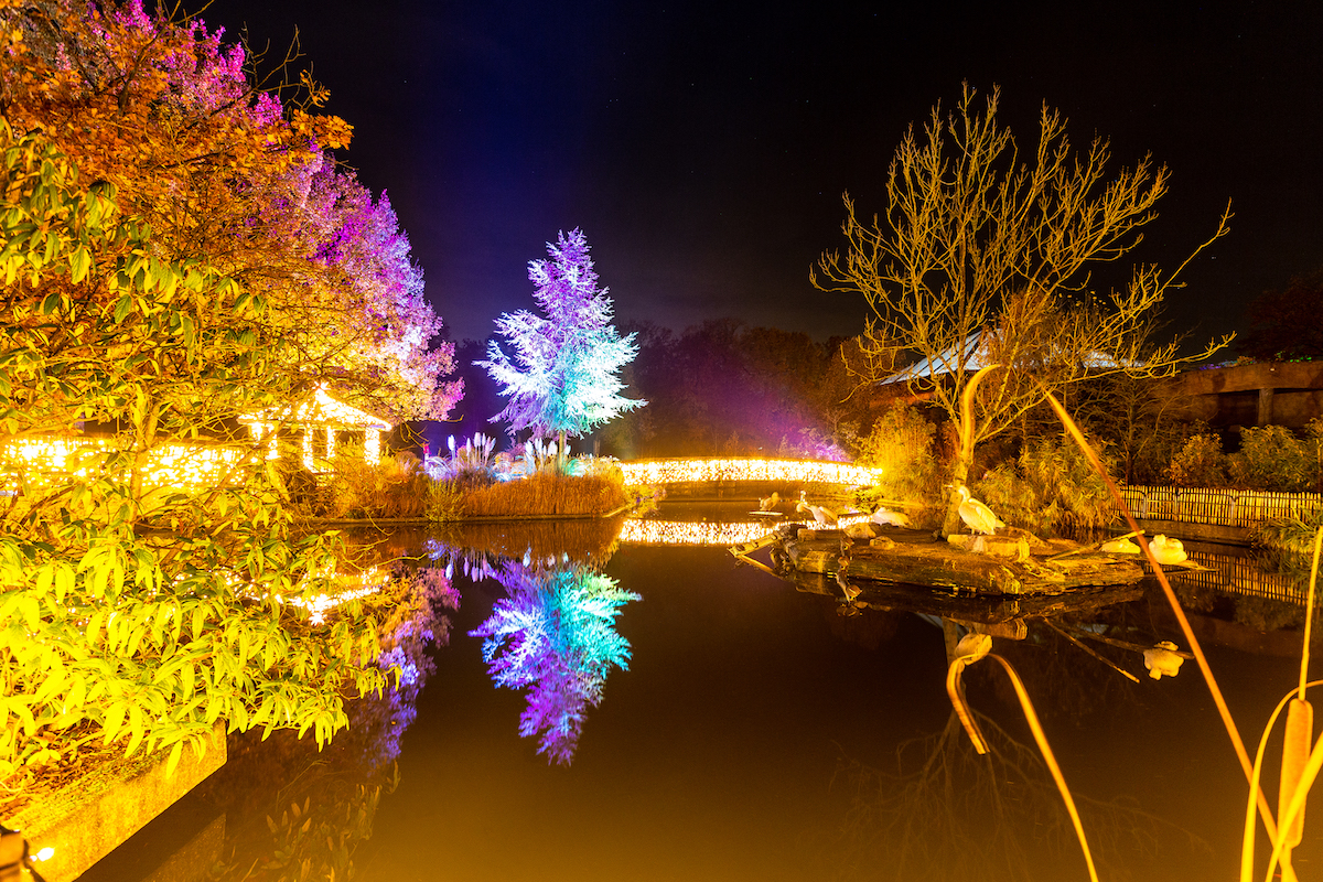 Christmas Garden Münster 2019_Glühwürmchen Brücke ©Christmas Garden-Muenster4life