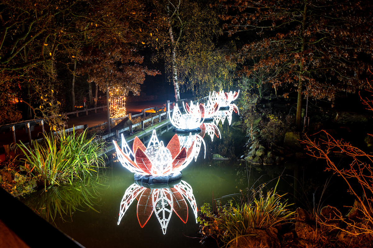 Christmas Garden Münster 2019_Romantischer Seerosenteich ©Christmas Garden-Muenster4life
