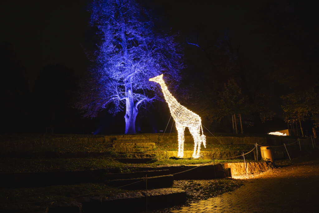 Christmas Garden Stuttgart 2019_Sanftes Savannengeschöpf©Christmas Garden-Wecause