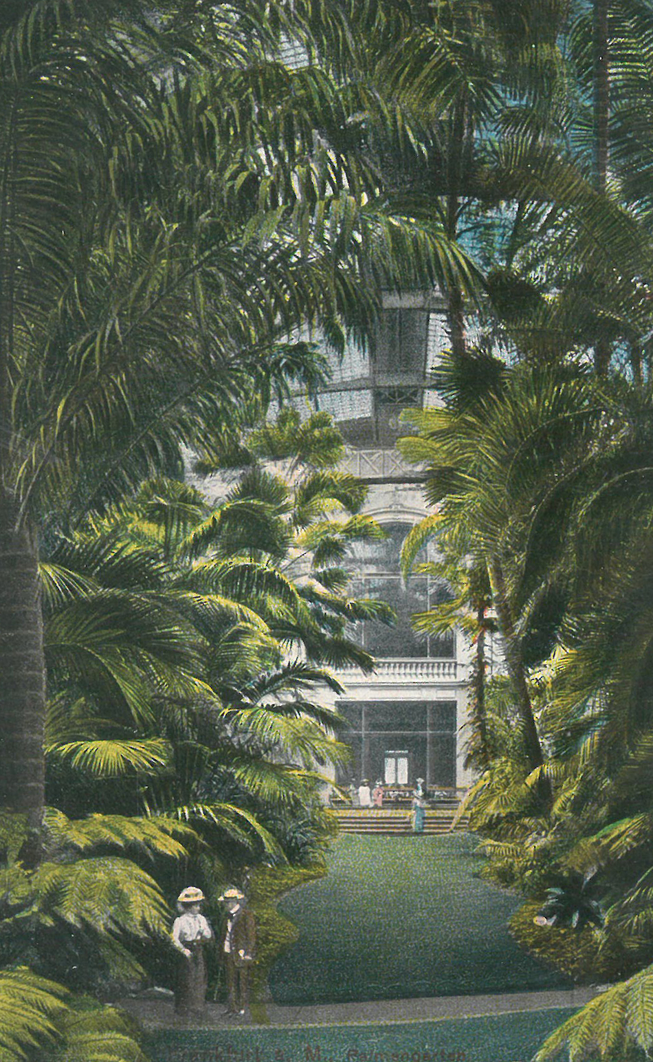Historische Zeichnung mit üppigem Grün im Palmengarten Frankfurt am Main.