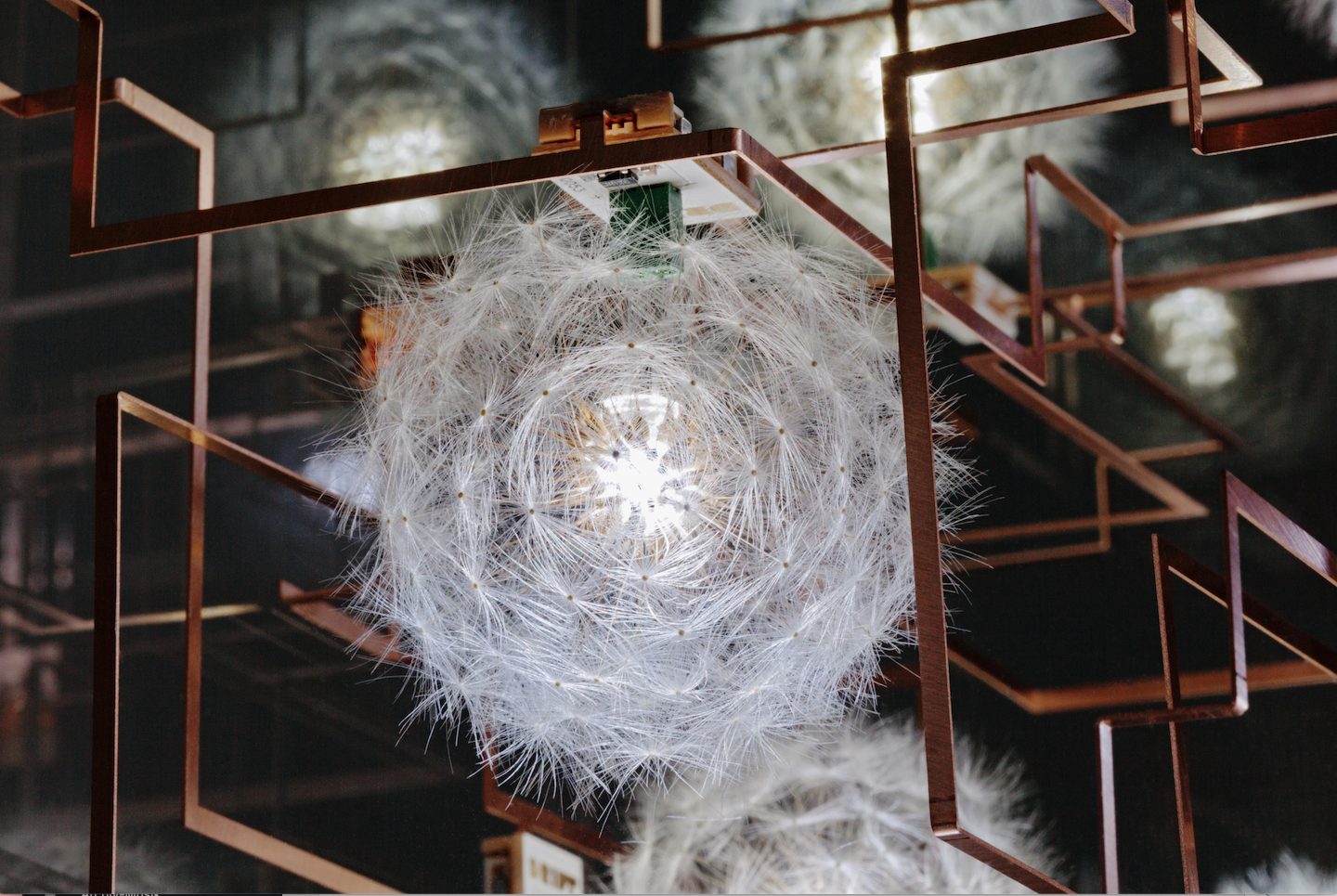 Museum für Kunst und Gewerbe: Drift