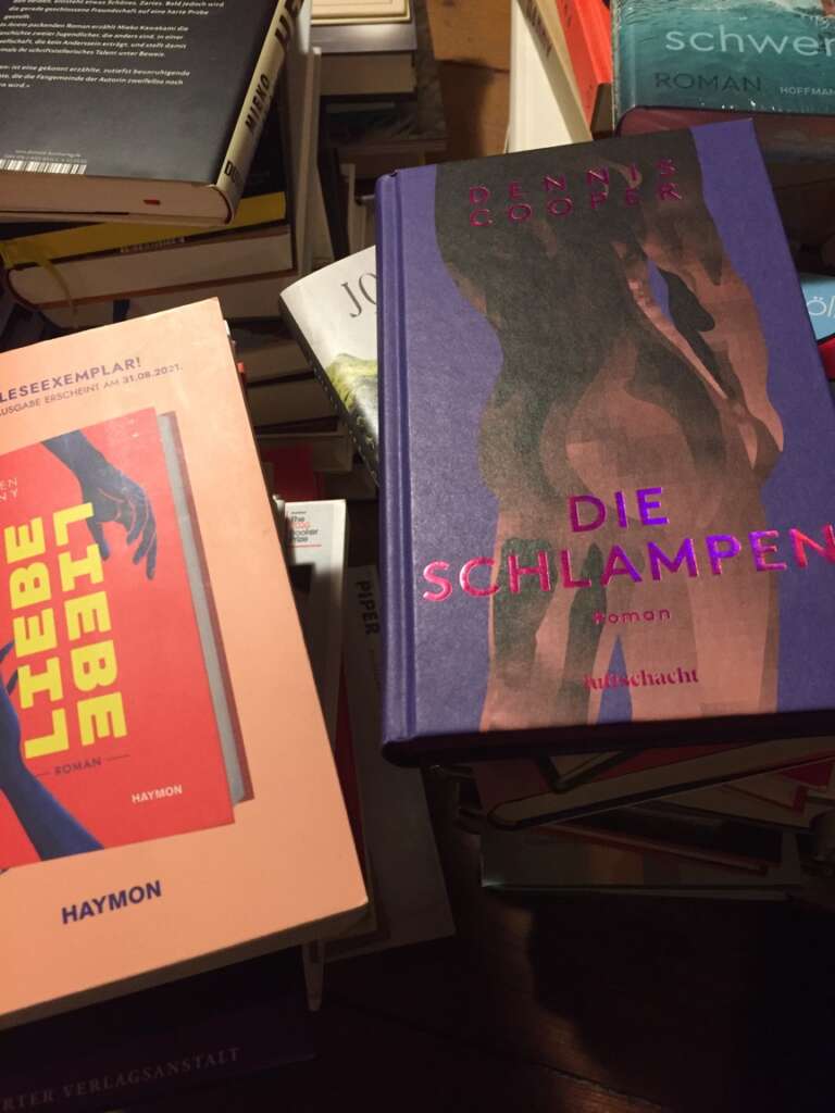 Die besten Bücher im Januar 2022: Buchcover von Dennis Cooper und Marlen Pelny
