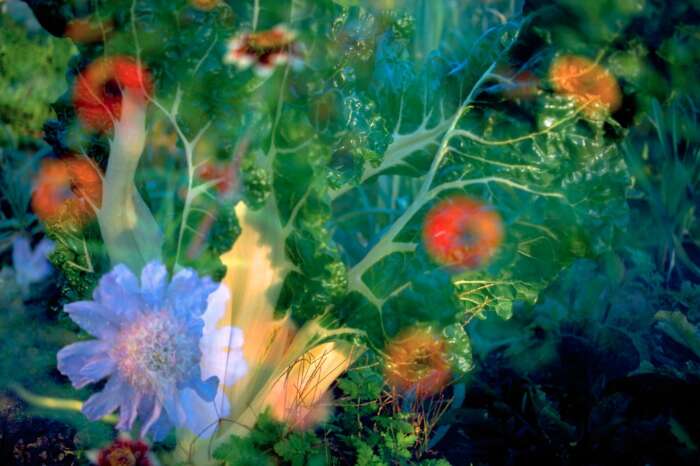 Museum Ostwall Dortmund: Flowers! Blumen in der Kunst des 20. und 21. Jahrhunderts