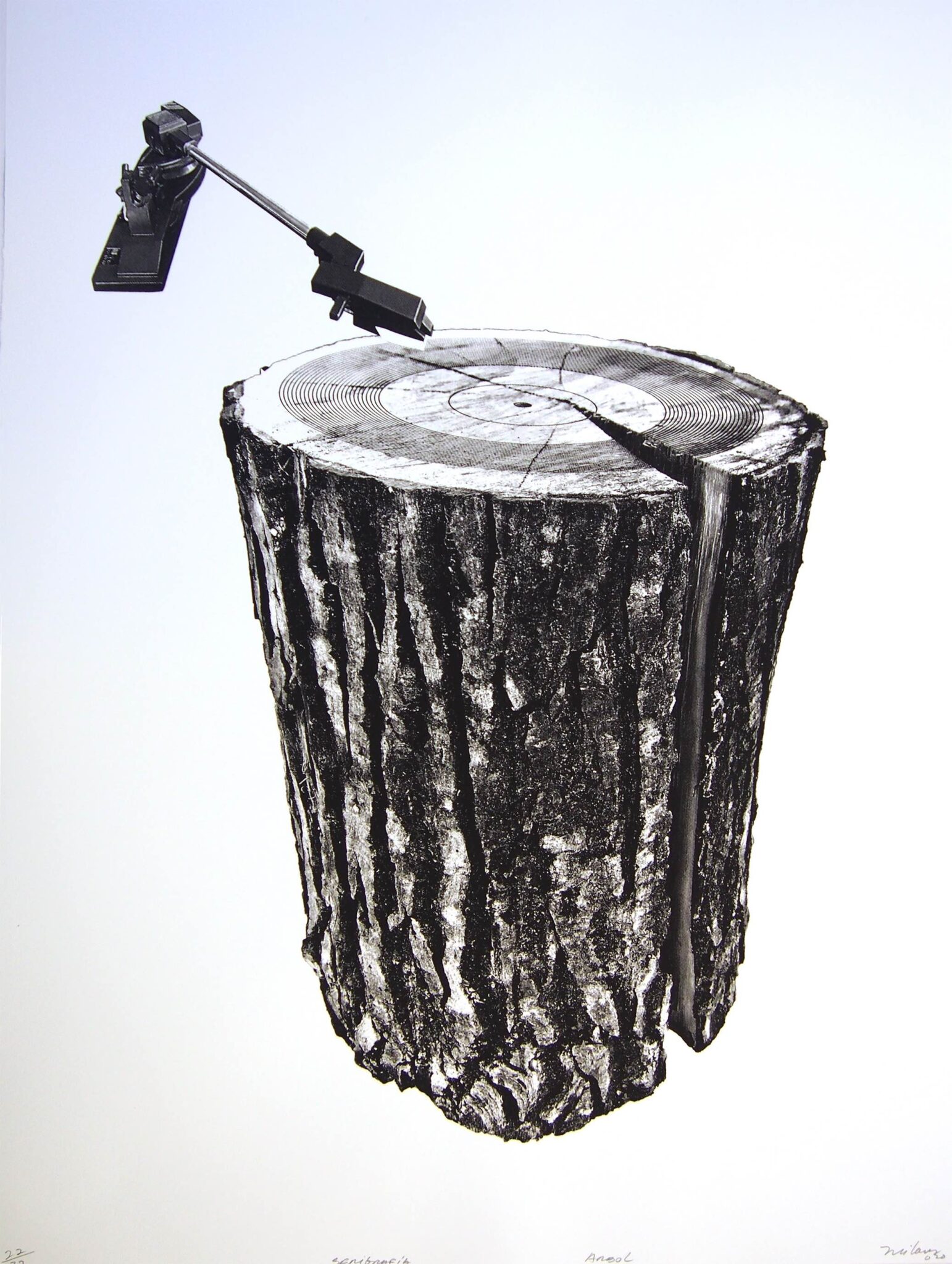 Zu sehen ist: Juan Andres Milanes Benito, Arbol