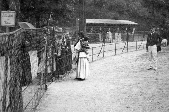 „Die Wilden“ in den Menschenzoos