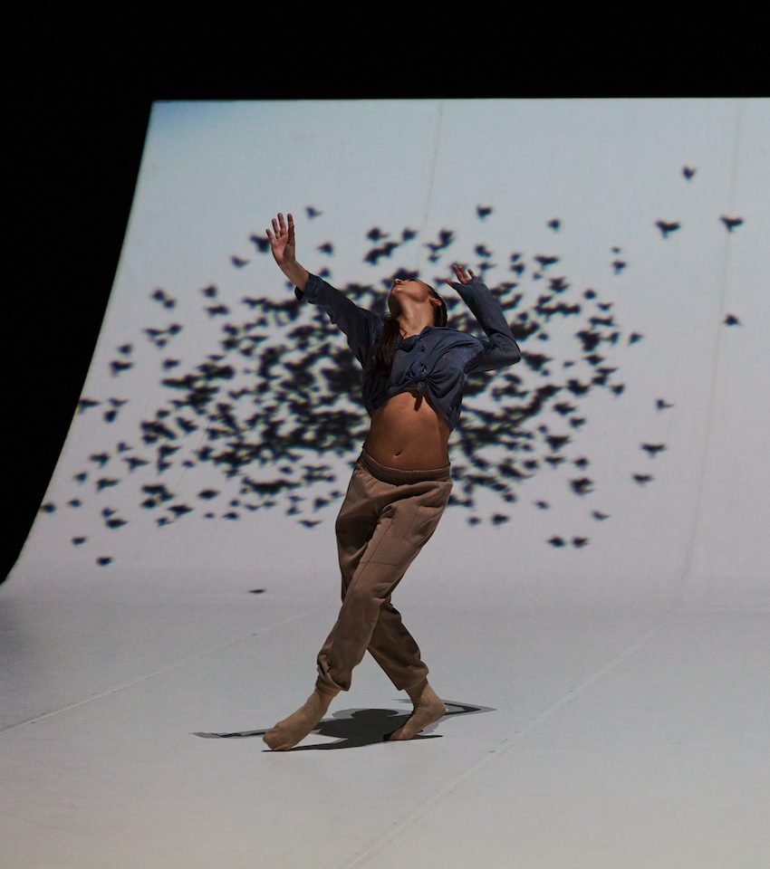 Dresden Frankfurt Dance Company: Premonitions of a larger Plan