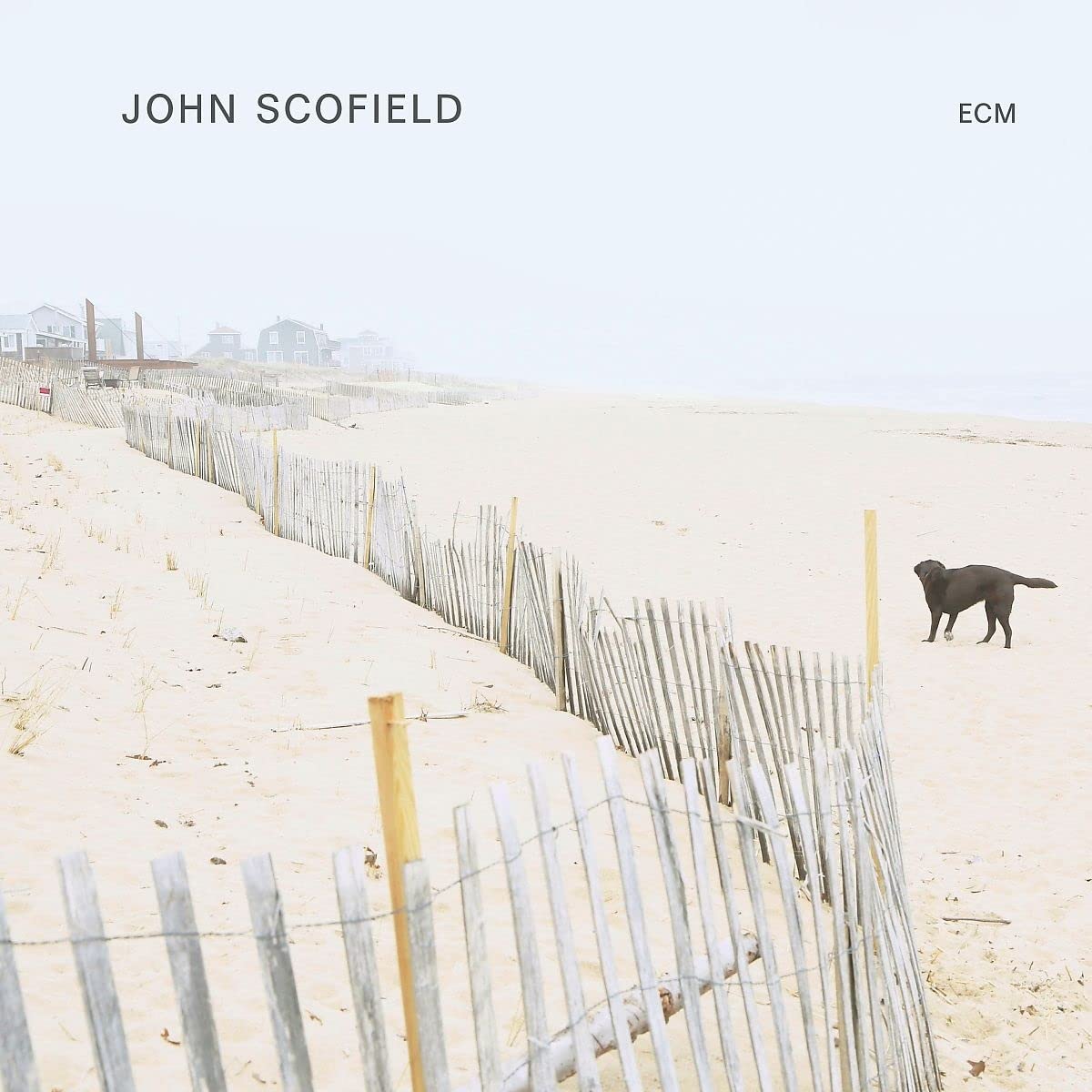 Plattencover „John Scofield“ von John Scofield