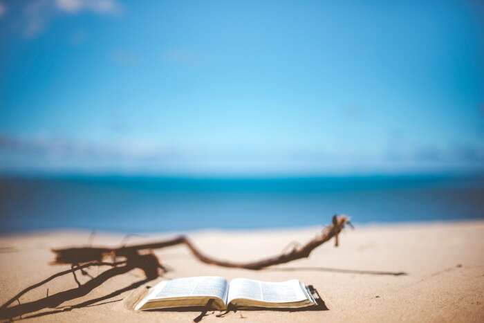 Bücher zum Klimawandel: Zu sehen ist ein verlassener Strand, an dem neben trockenem Strandgut ein Buch liegt.
