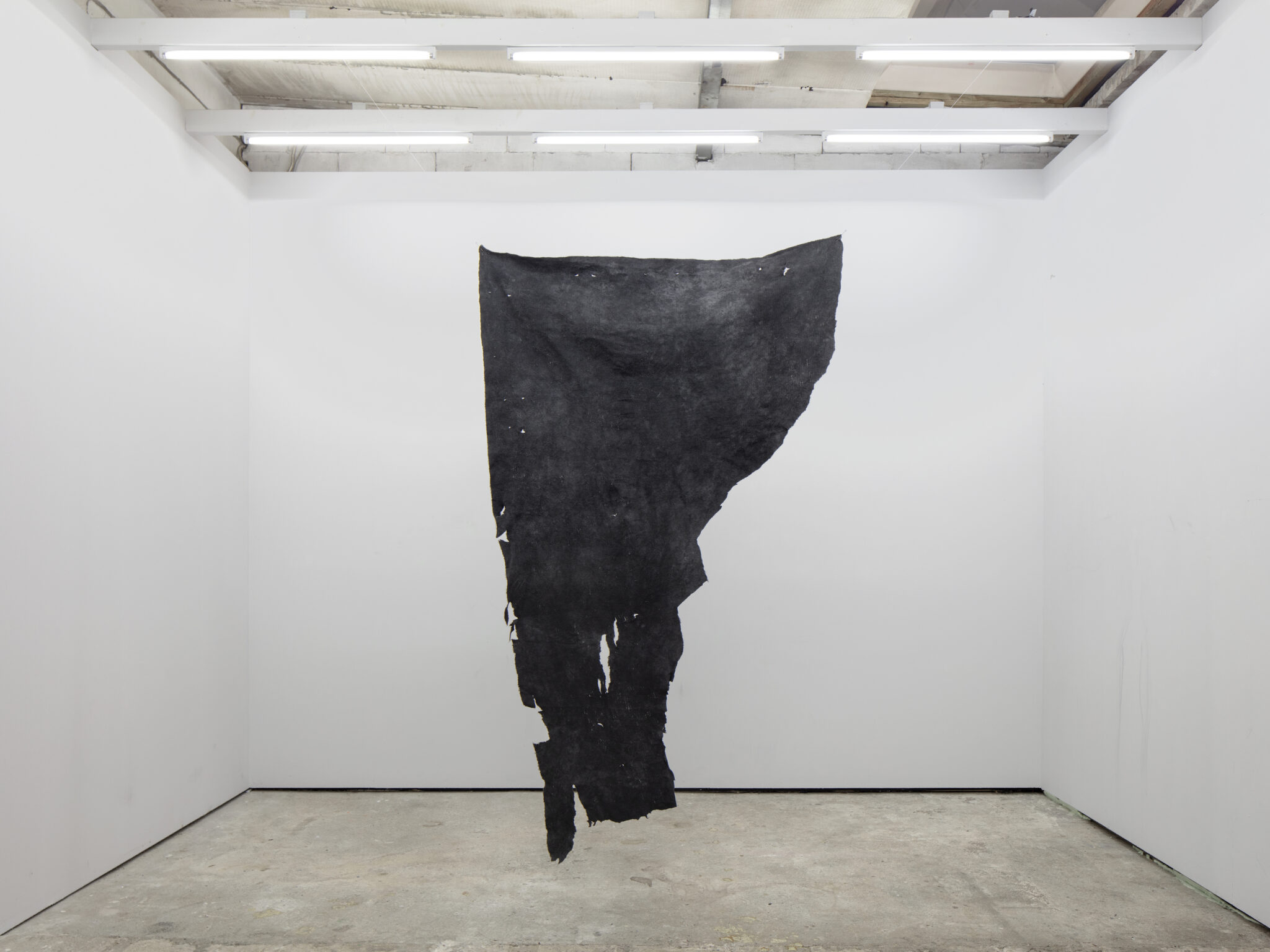 Klimawandel ClimateArtFest