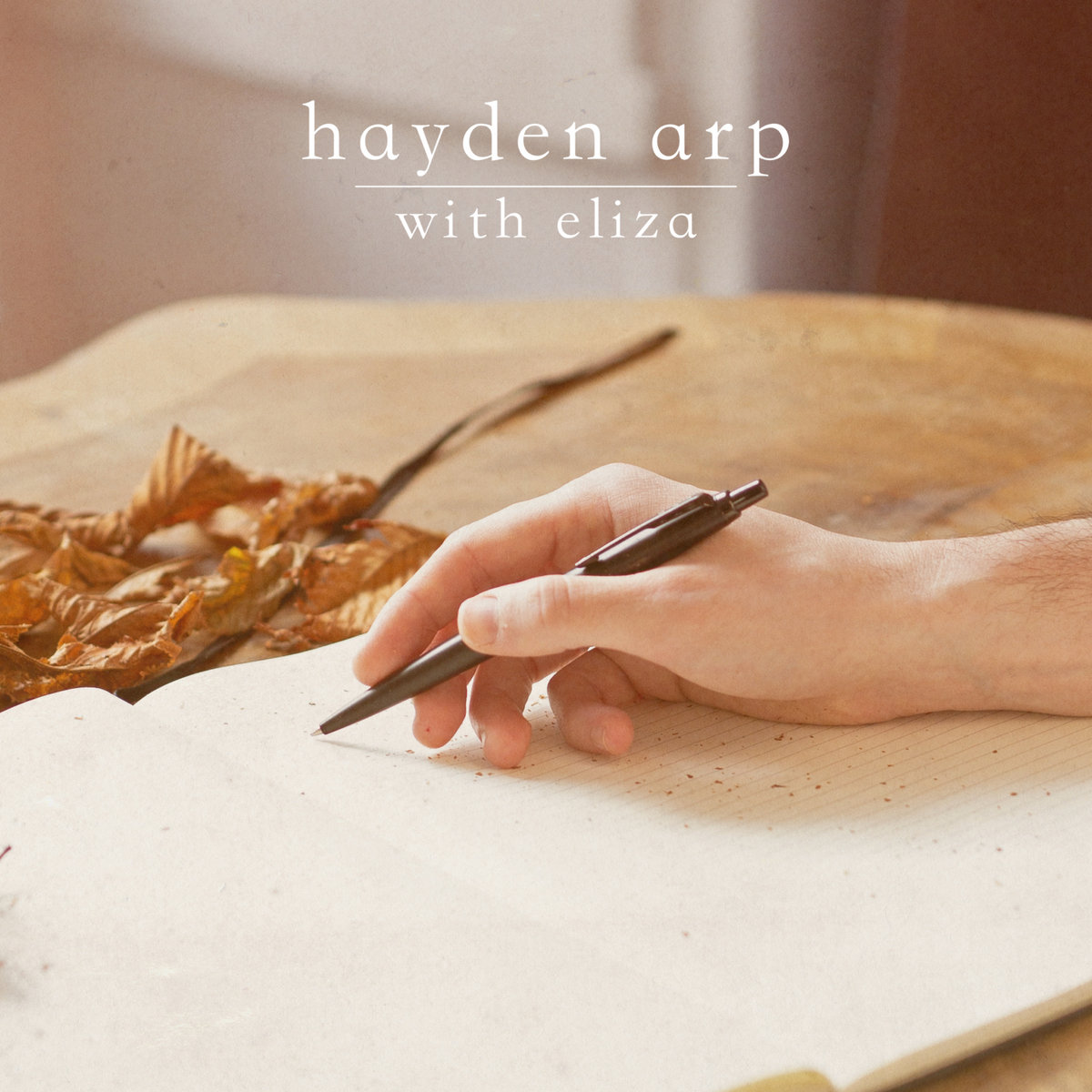 hayden Arp