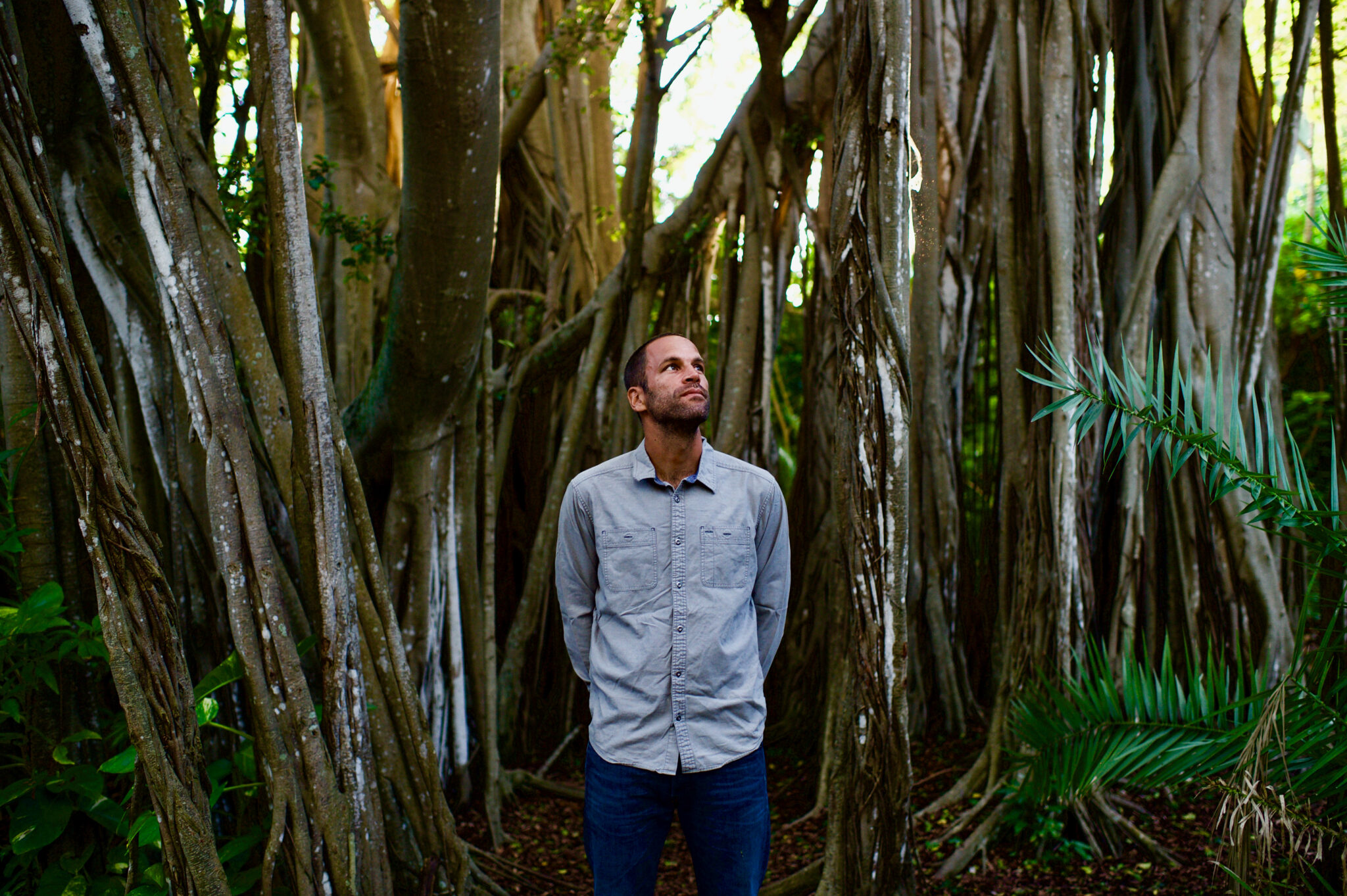 Jack Johnson Tour