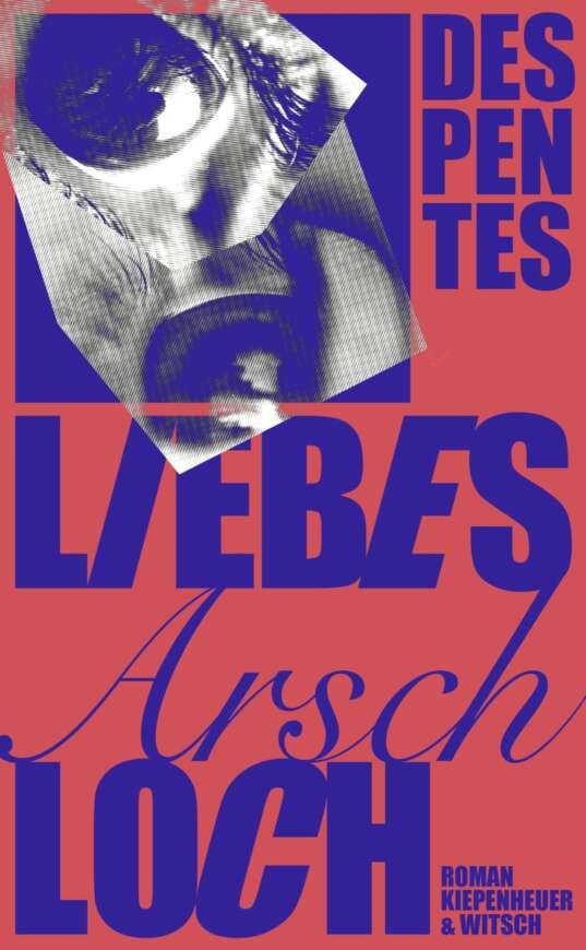 Buchcover „Liebes Arschloch“ von Virginie Despentes