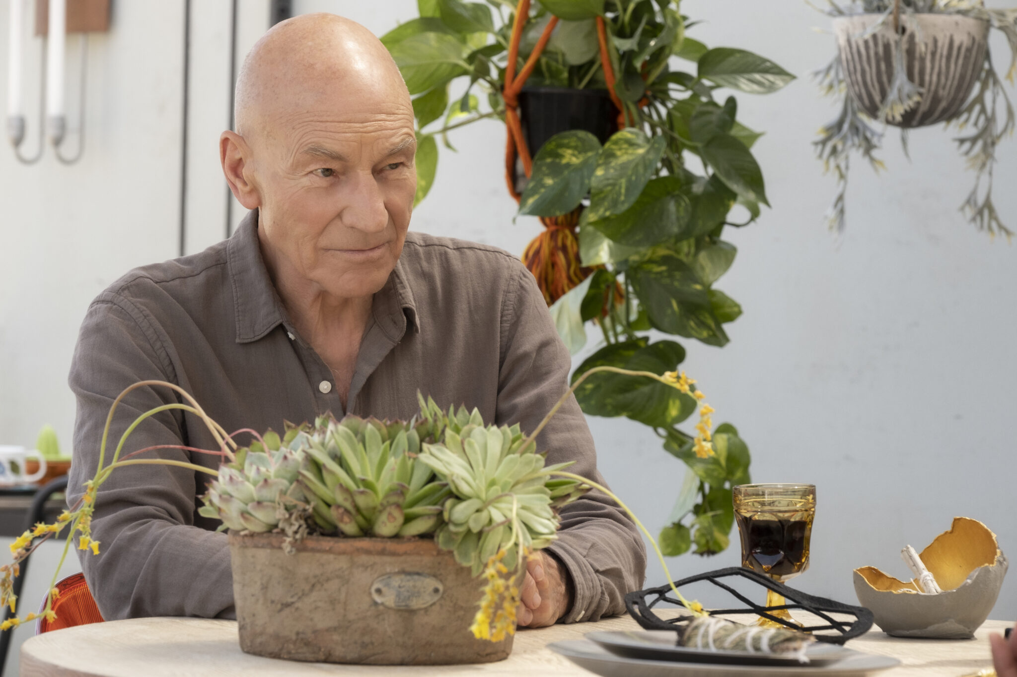 Star Trek Picard Star Trek: Picard Jean-Luc Picard Amazon Prime Video