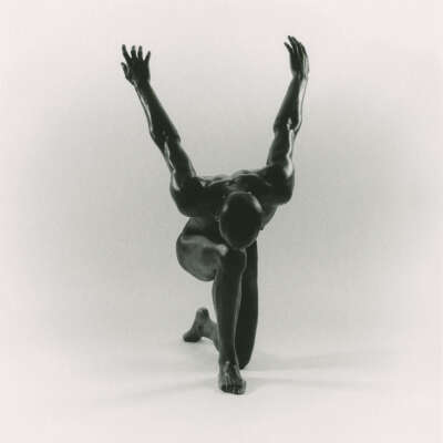 Petite Noir