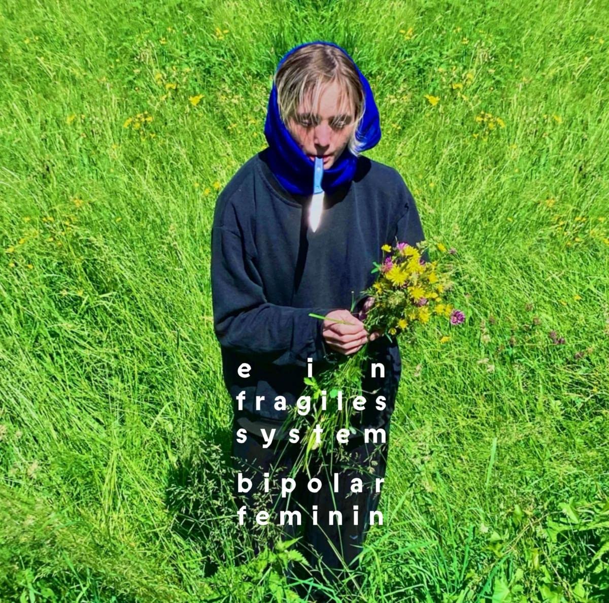 Bipolar Feminin Ein fragiles System Cover