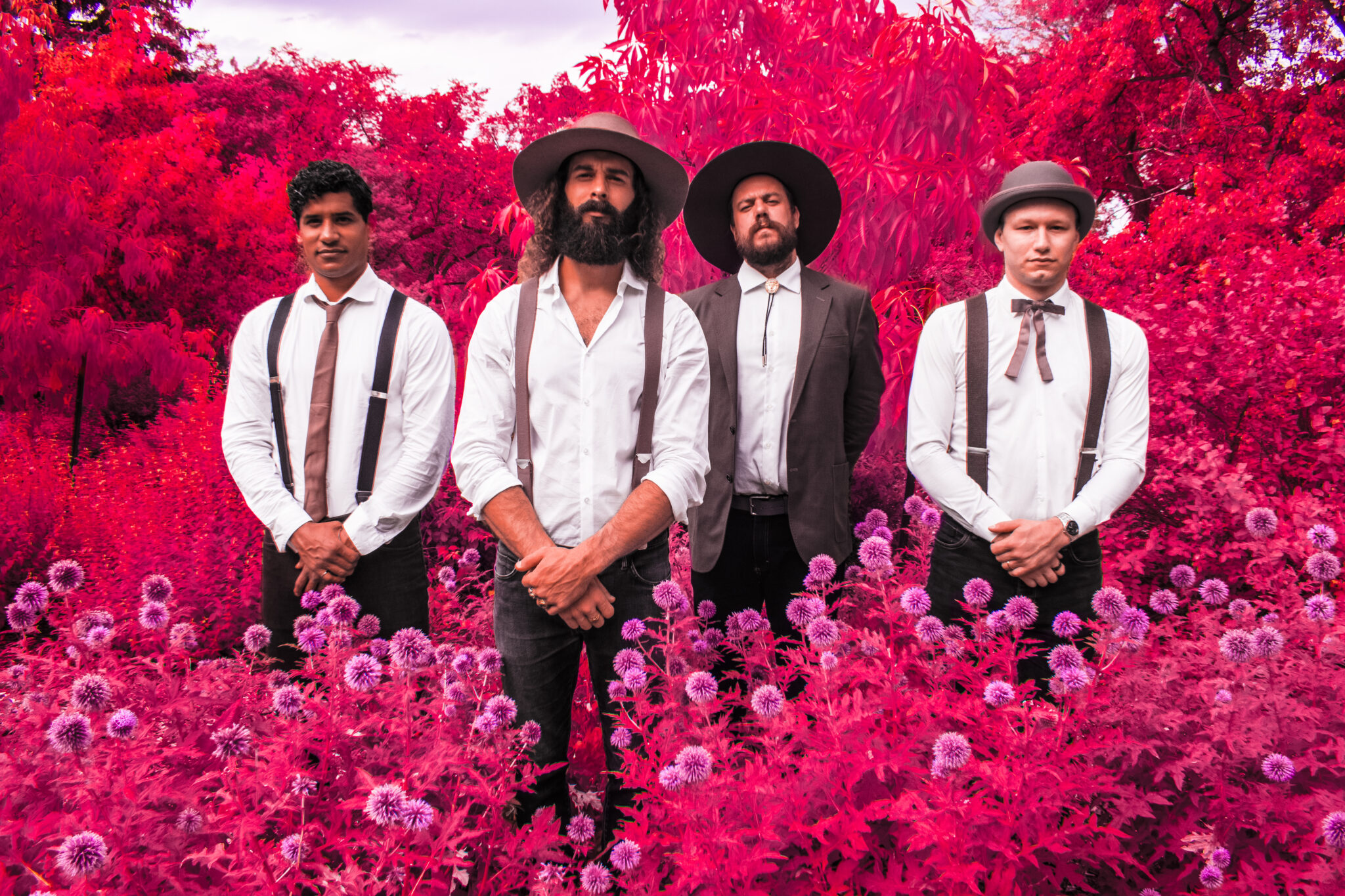 Gitarrist Nate Hilts, Mandolinist Scott Pringle, Cellist Danny Kenyon und der virtuose Banjo-Spieler Colton Crawford stehen in weißen Hemden und Hüten auf dem Kopf in einem Meer aus roten Blumen und Stäuchern.