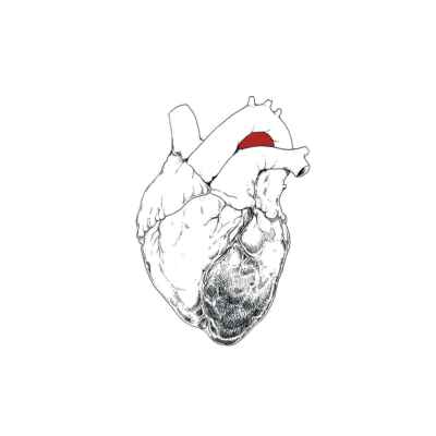 „The Beggar“ von Swans