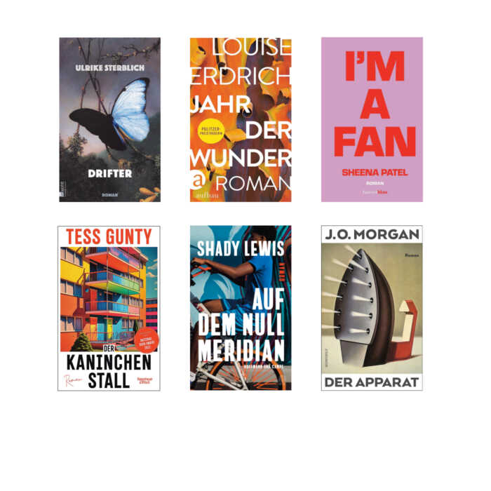 Die besten Bücher im August 2023: Buchcover von Tess Gunty, Ulrike Sterblich, Sehen Patel, Louise Erdrich, Shanty Lewis, J.O. Morgan