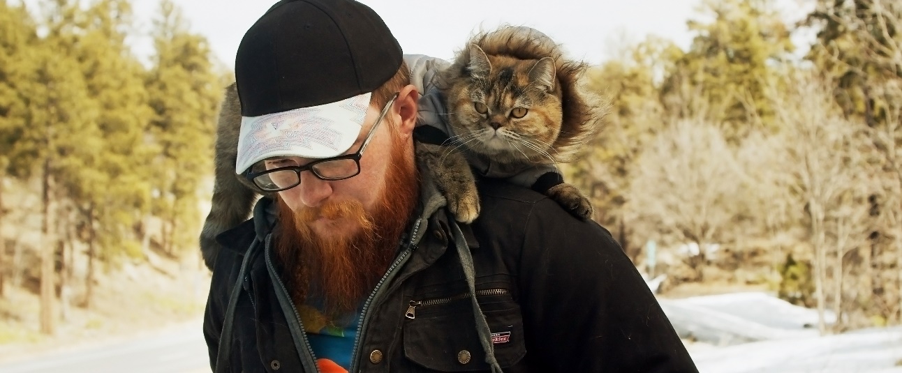 Cat Daddies_Filmstill