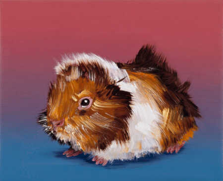 Kunstpalast Düsseldorf Gemälde eines Meerschweinchens