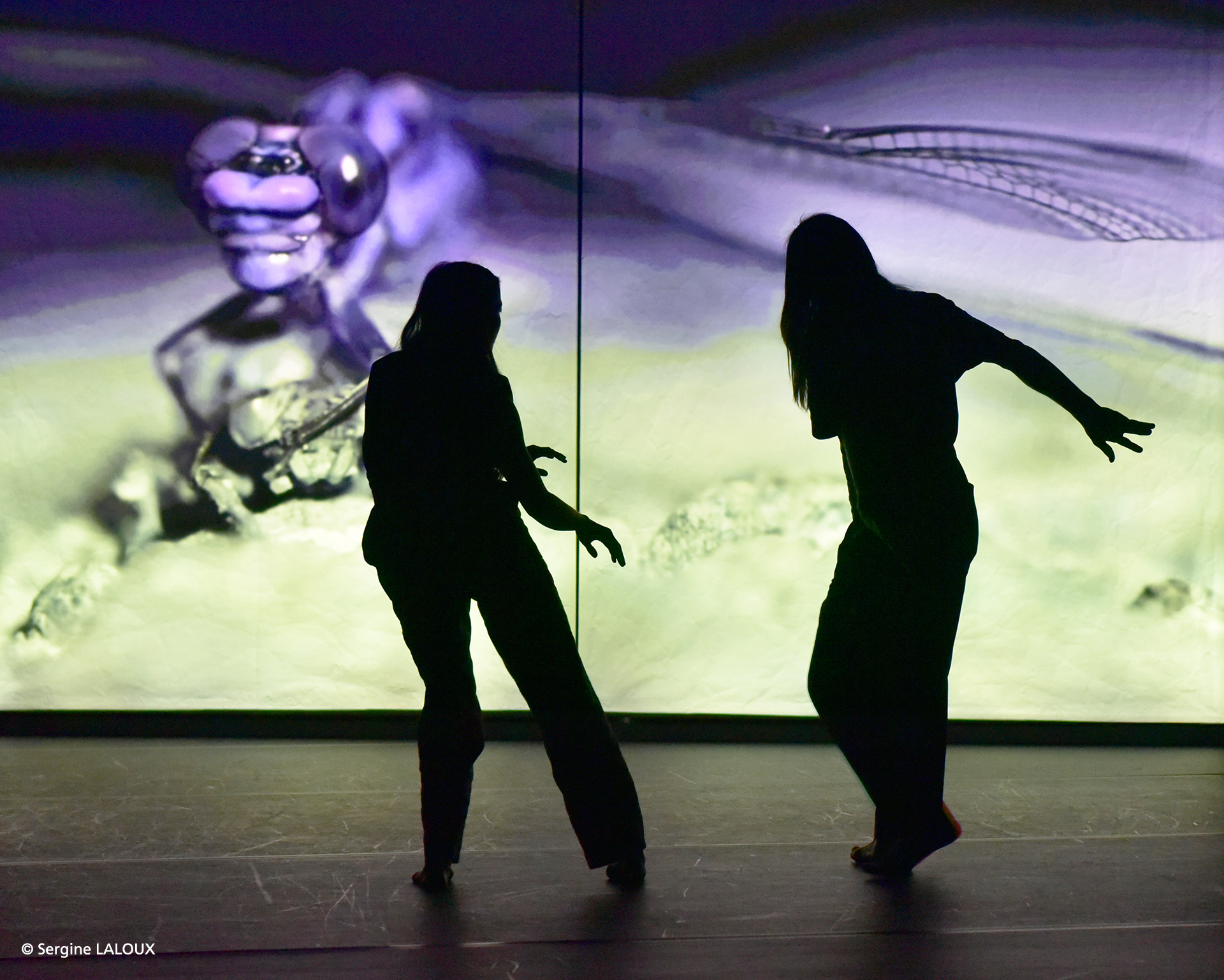 Pina Bausch Zentrum