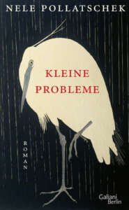 Pollatschek Kleine Probleme Cover