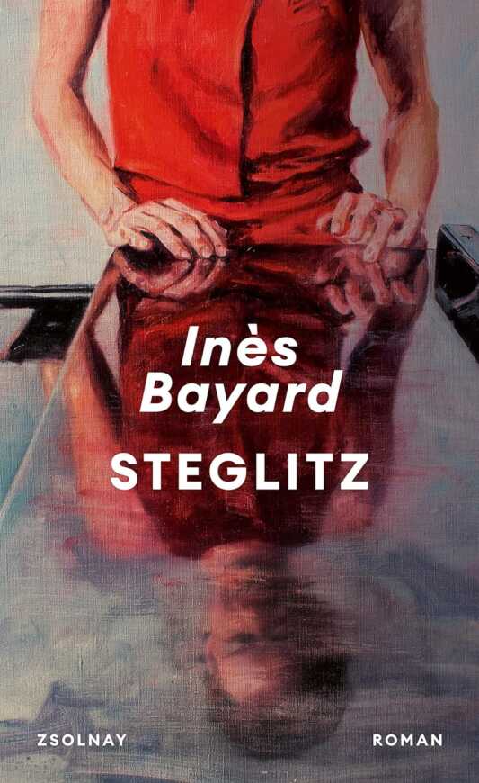 Buchcover „Steglitz“ von Inès Bayard
