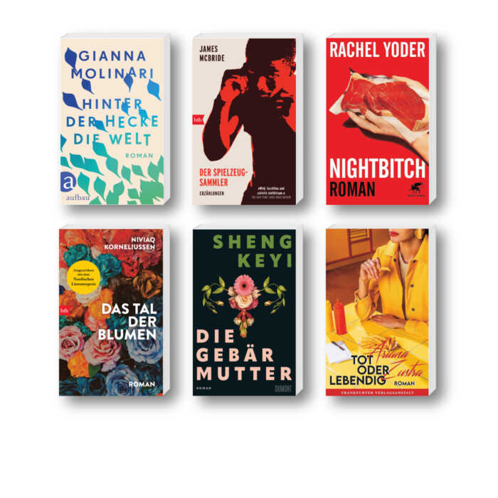 Die besten Bücher im Dezember 2023: Buchcover von Gianna Molinari, James McBride, Rachel Yoder, Niviaq Korneliussen, Sheng Keyi und Arianna Zustra