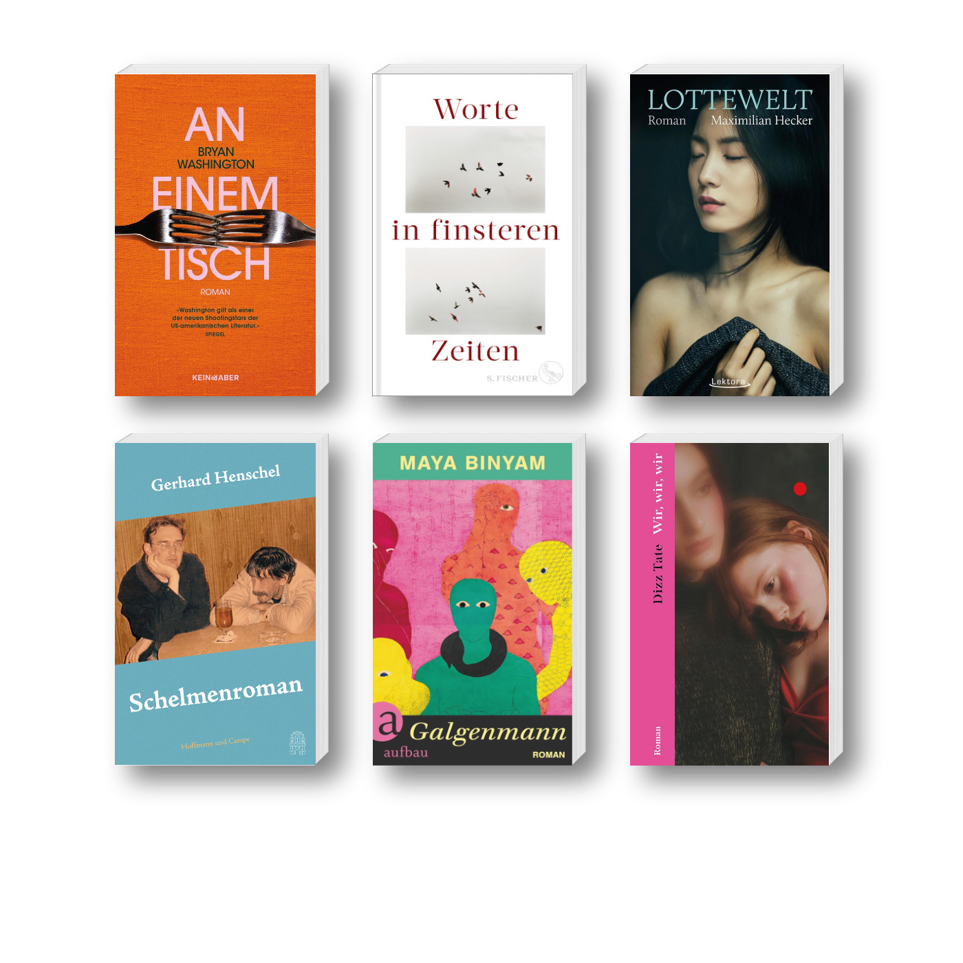 Die besten Bücher im Januar 2024: Buchcover von Maxilian Hecker, Bryan Washington, Maya Binyam, Gerhard Henschel, Dizz Tate sowie die Anthologie „Worte in finsteren Zeiten“