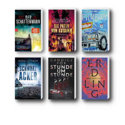 Die besten Krimis im Januar 2024: Buchcover von Nora Luttmer, Charles Willeford, Candice Fox, Emma Braslavsky, Lutz Wilhelm Kellerhoff, Kester Schlenz und Jan Jepsen