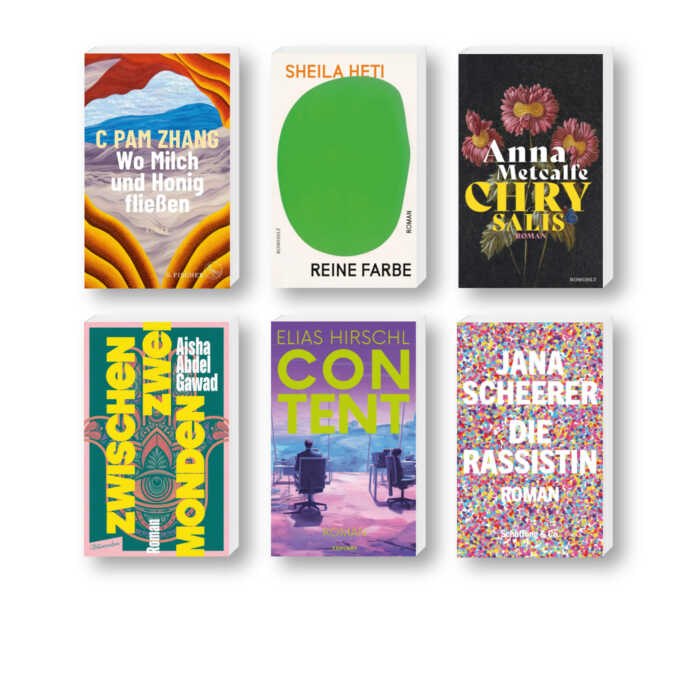 Die besten Bücher im Februar 2024: Buchcover von C Pam Zhang, Elias Hirschl, Anna Metcalfe, Sheila Heti, Jana Scheerer und Aisha Abdel Gawad