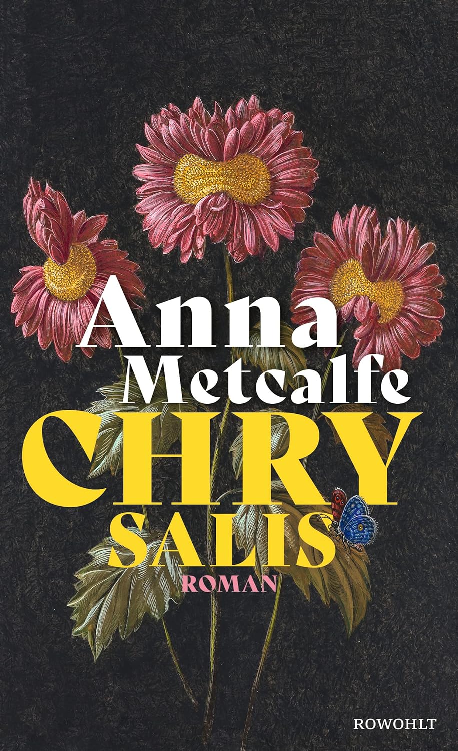 #
„Chrysalis“ von Anna Metcalfe