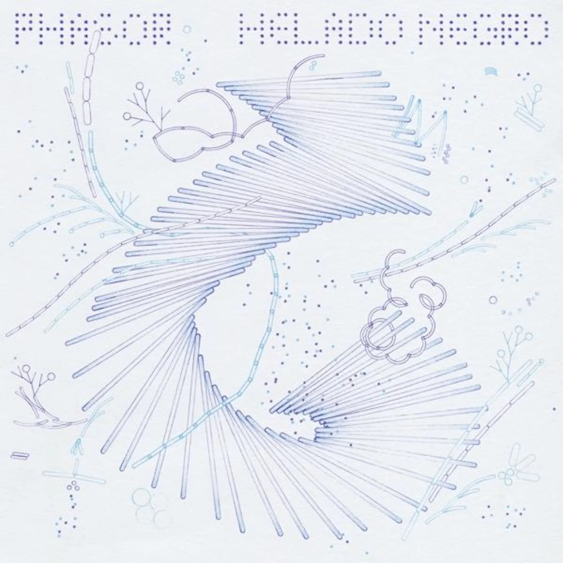 „Phasor“ von Helado Negro