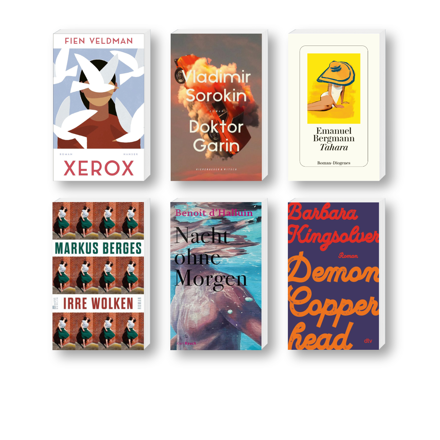 Die besten Bücher im März 2024: Buchcover von Fien Veldman, Barbara Kingsolver, Emanuel Bergmann, Markus Berges, Vladimir Sorokin, Benoit d’Halluin