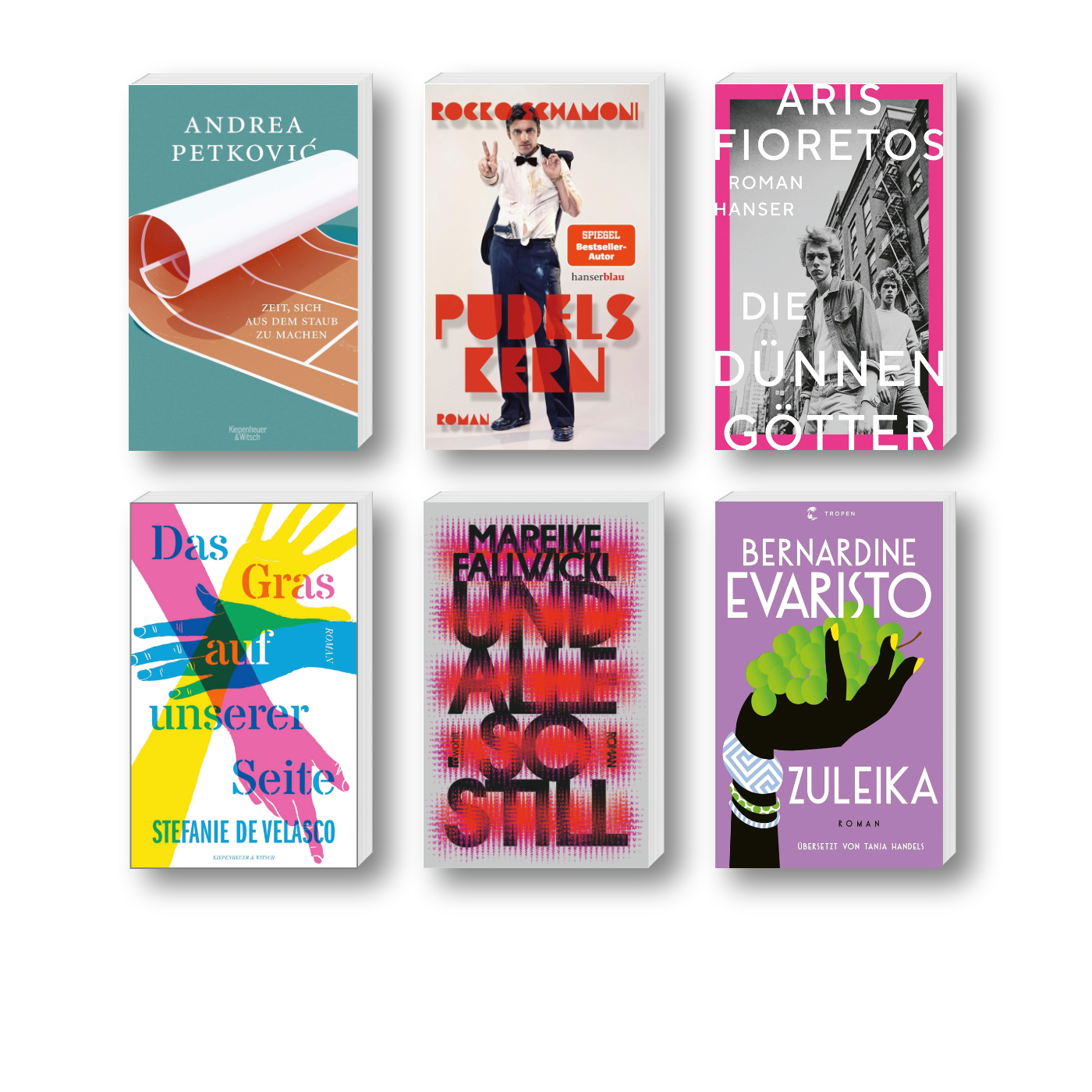 Die besten Bücher 2024: Buchcover von Andrea Petkovic, Rocko Schamoni, Aris Fioretos, Stefanie de Velasco, Mareike Fallwickl und Bernardine Evaristo