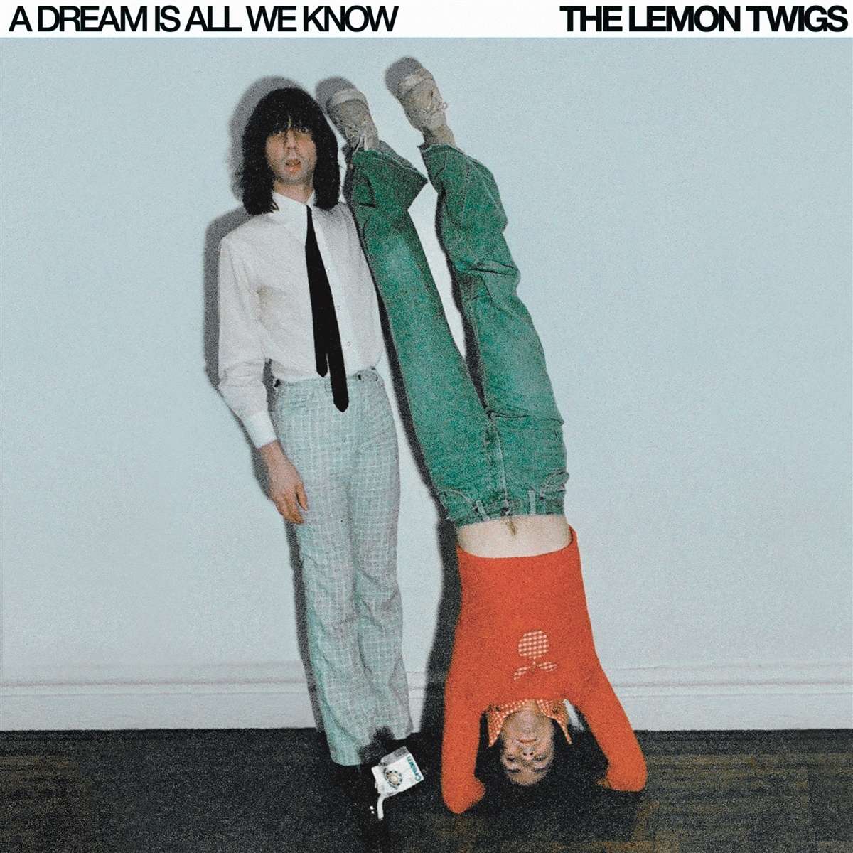 The Lemon Twigs- A Dream is All We Know