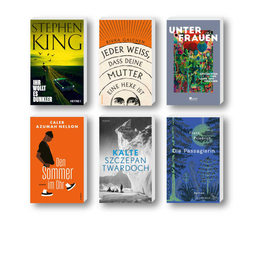 Die besten Bücher im Juli 2024: Buchcover von Stephen King, Rivka Galchen, Unter Frauen, Caleb Azumah Nelson, Szczepan Twardoch und Franz Friedrich