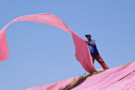 pink-8253910_1280