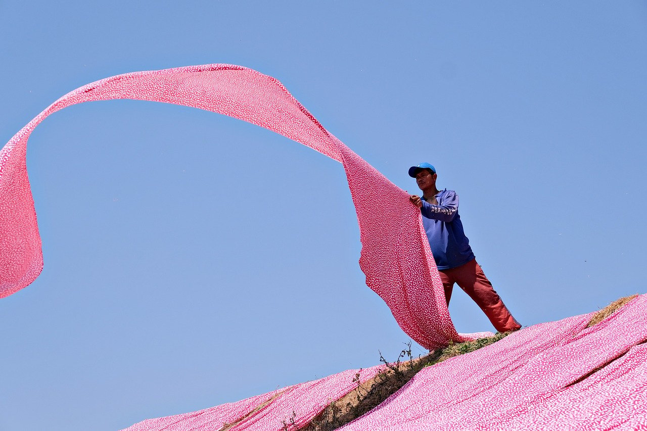 pink-8253910_1280