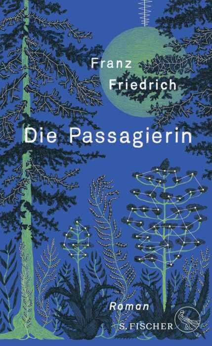 Buchcover „Die Passagierin“ von Franz Friedrich