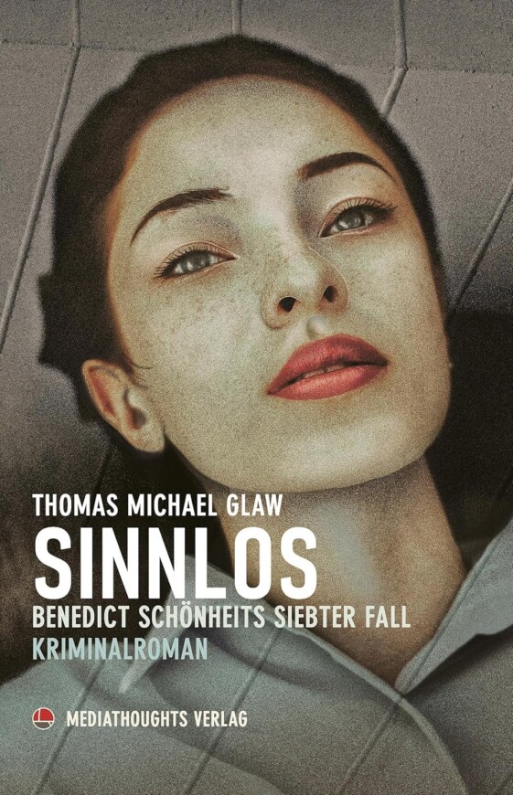 Buchcover „Sinnlos“ von Thomas Michael Glaw