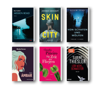 Die besten Krimis im April 2025: Buchcover von Sabine Thiesler, Johannes Groschupf, Ron Corbett, Achim Zons, Claudia Piñeiro und Nicolás Ferraro