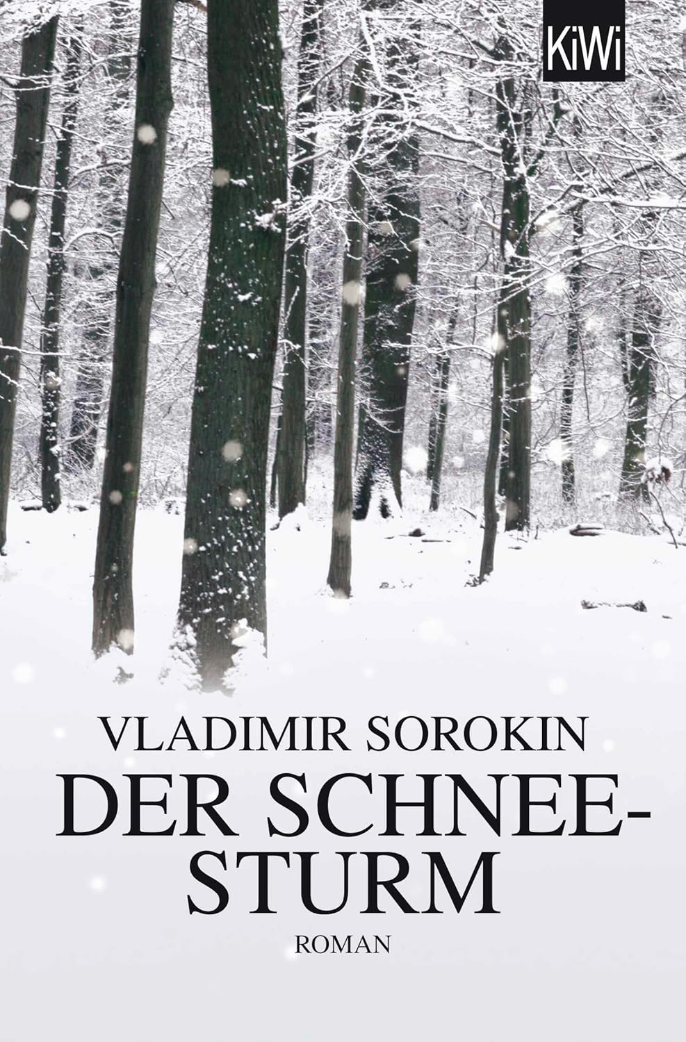 Vladimir Sorokin Der Schneesturm